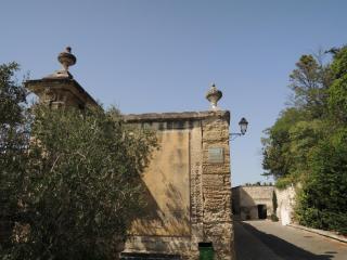 DSCN8101.JPG