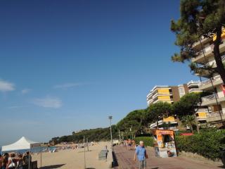 DSCN8225.JPG