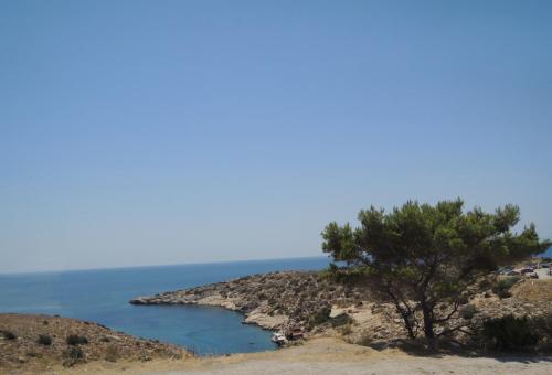 DSCN1186.JPG