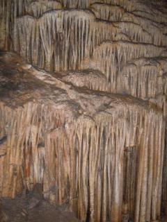 DSCN2869.JPG