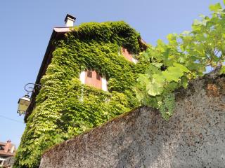 DSCN7819.JPG