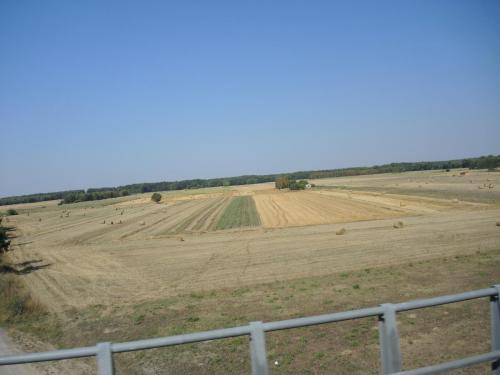 DSCN8400.JPG