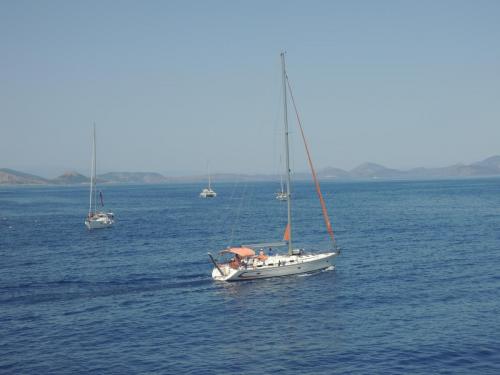 DSCN1349.JPG
