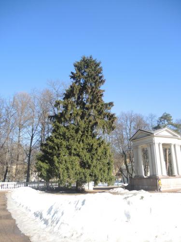 DSCN9152.JPG