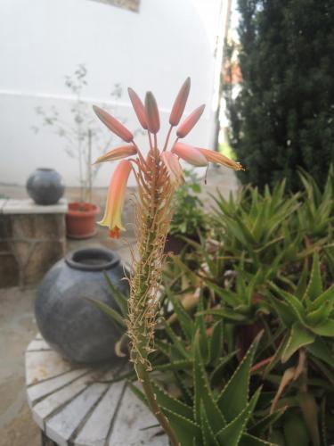 DSCN2597.JPG