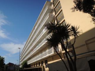 DSCN8216.JPG