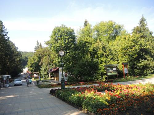 DSCN8777.JPG