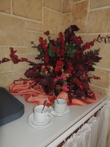 DSCN0755.JPG