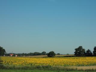 DSCN9309.JPG