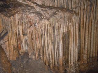 DSCN2868.JPG