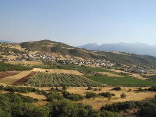 DSCN0596.JPG