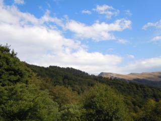 DSCN2358.JPG