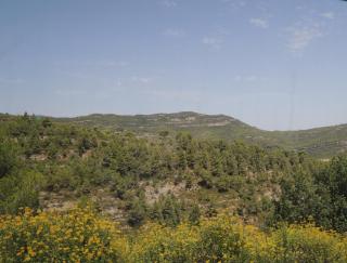DSCN9696.JPG