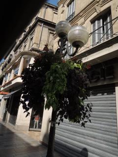 DSCN8152.JPG