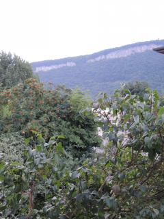 DSCN7654.JPG