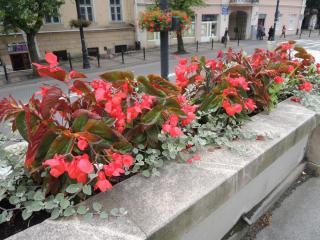 DSCN0290.JPG