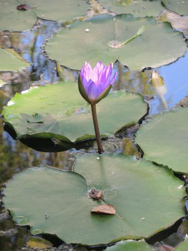 DSCN8857.JPG
