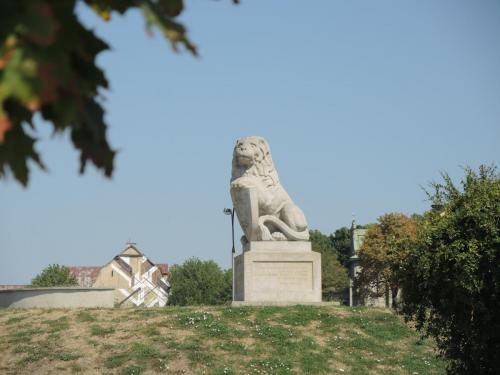 DSCN8456.JPG