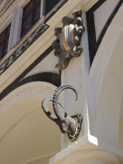 DSCN9495.JPG