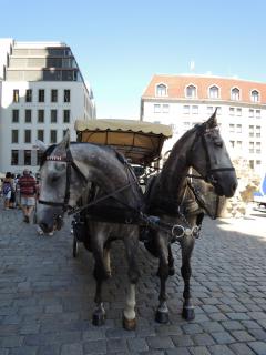 DSCN9538.JPG