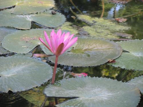 DSCN8852.JPG