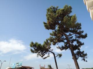 DSCN8224.JPG