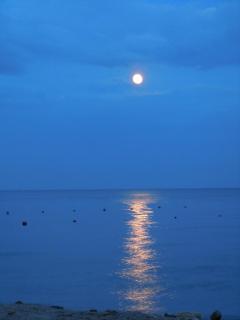 DSCN0810.JPG
