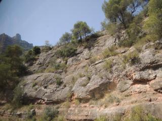 DSCN9705.JPG