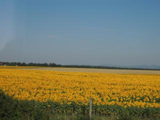 DSCN0051.JPG