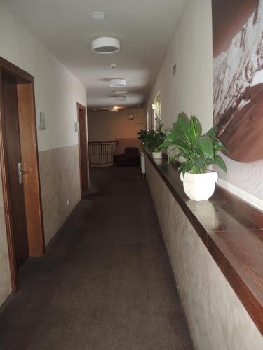 DSCN8188.JPG