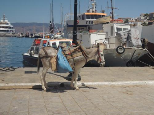 DSCN1510.JPG