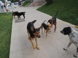 DSCN0254.JPG