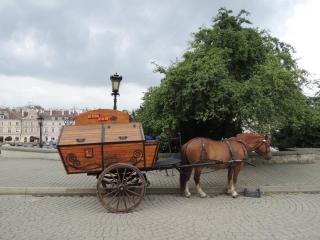 DSCN0446.JPG