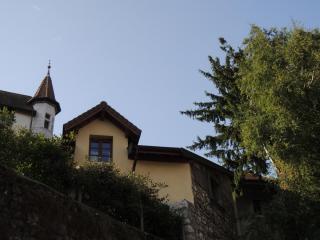 DSCN7787.JPG