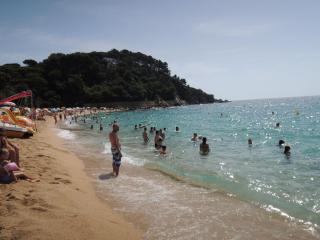 DSCN8241.JPG