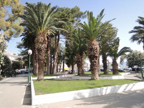 DSCN0910.JPG
