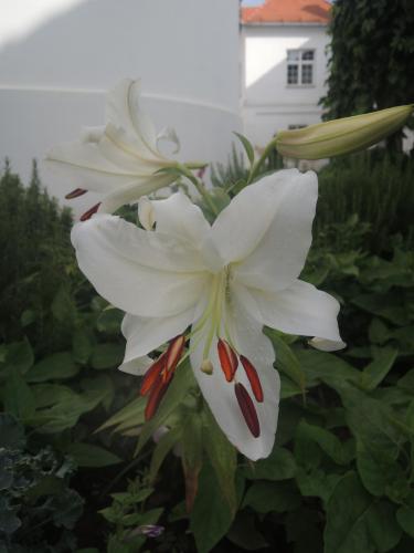 DSCN2628.JPG
