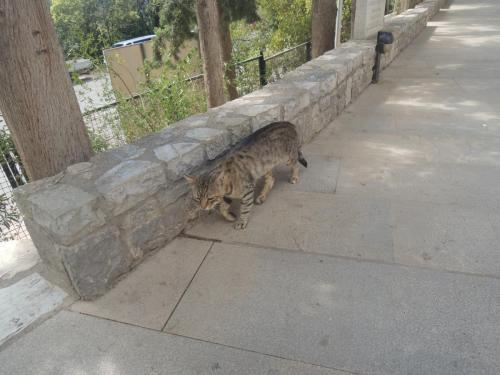 DSCN1805.JPG