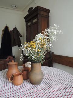 DSCN0045.JPG