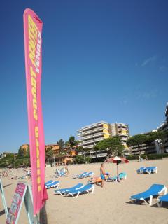 DSCN8226.JPG