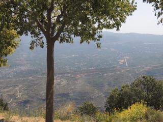 DSCN9650.JPG