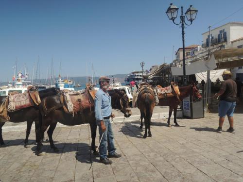 DSCN1395.JPG