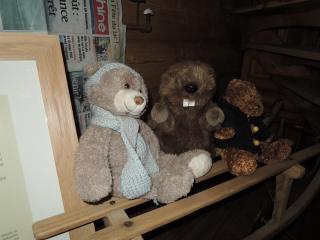 DSCN7642.JPG