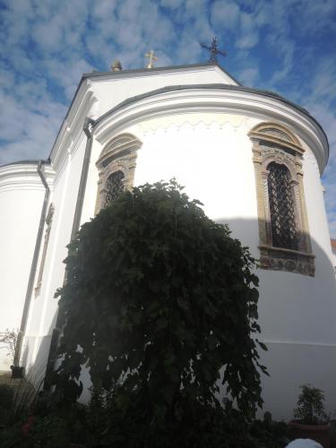 DSCN2596.JPG