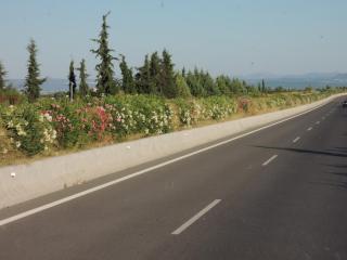 DSCN0601.JPG