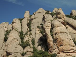 DSCN9466.JPG