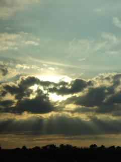 DSCN9147.JPG