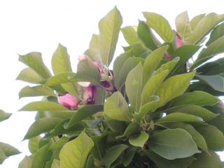 DSCN9461.JPG