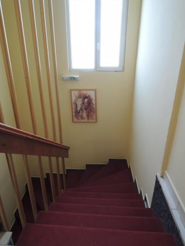 DSCN0209.JPG