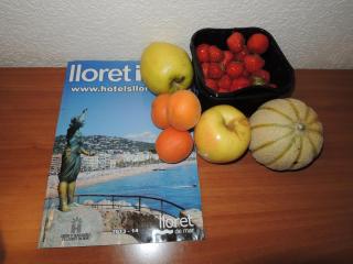 DSCN8175.JPG